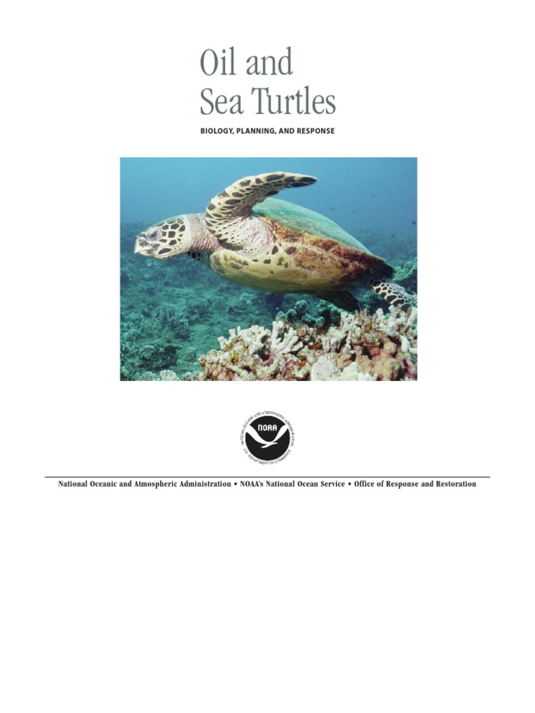 Oil & Sea Turtle Manual | PDF