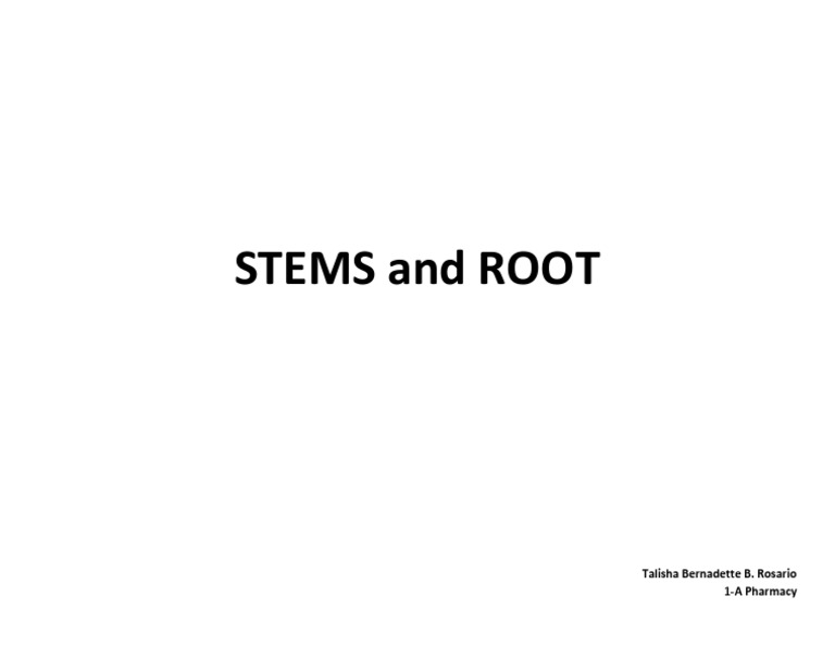 Understanding Stems and Roots in Botany | PDF