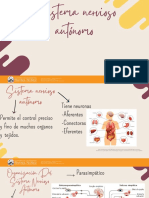 Sistema Nervioso Autónomo