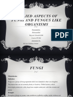 Applied Aspects of Fungi and Fungus Like Organisms