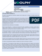 Fases del motor de combustión interna