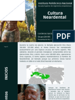 Cultura Neanderthal