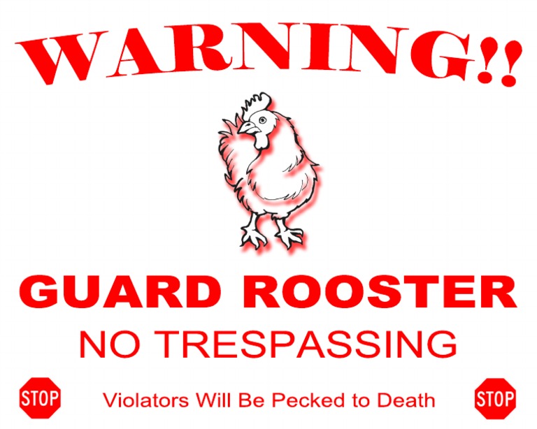 Rooster | PDF