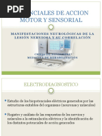 Electrodiagnóstico: NCS y EMG Explicados | PDF | Nervio | Potencial de ...