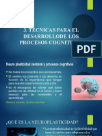 Neuroplasticidad y procesos cognitivos