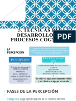 Técnicas para El Desarrollo de Los Procesos Cognitivos