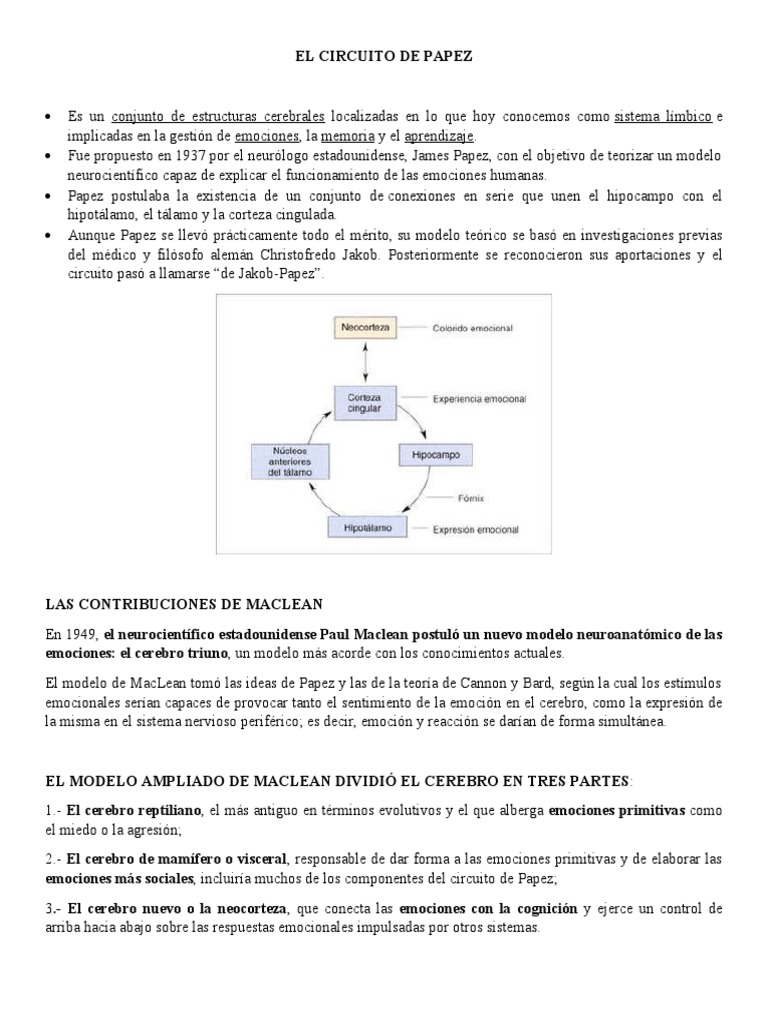 El Circuito de Papez | PDF | Las emociones | Sistema límbico