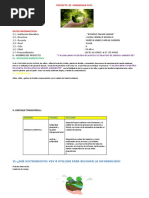 Proyecto de Aprendizaje N°05.: Iii.-Situacion Significativa