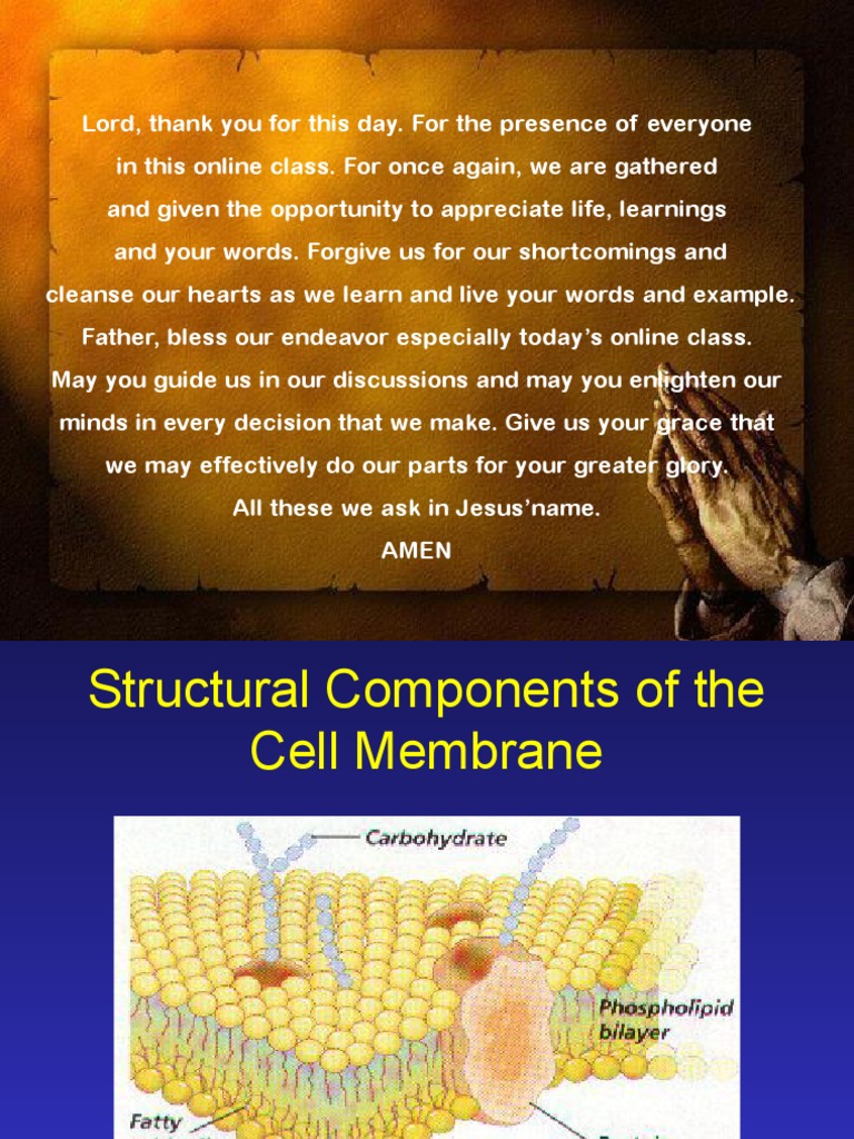 Plasma Membrane | PDF | Cell Membrane | Chemistry