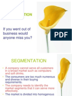 Segmentation, Targeting & Positioning