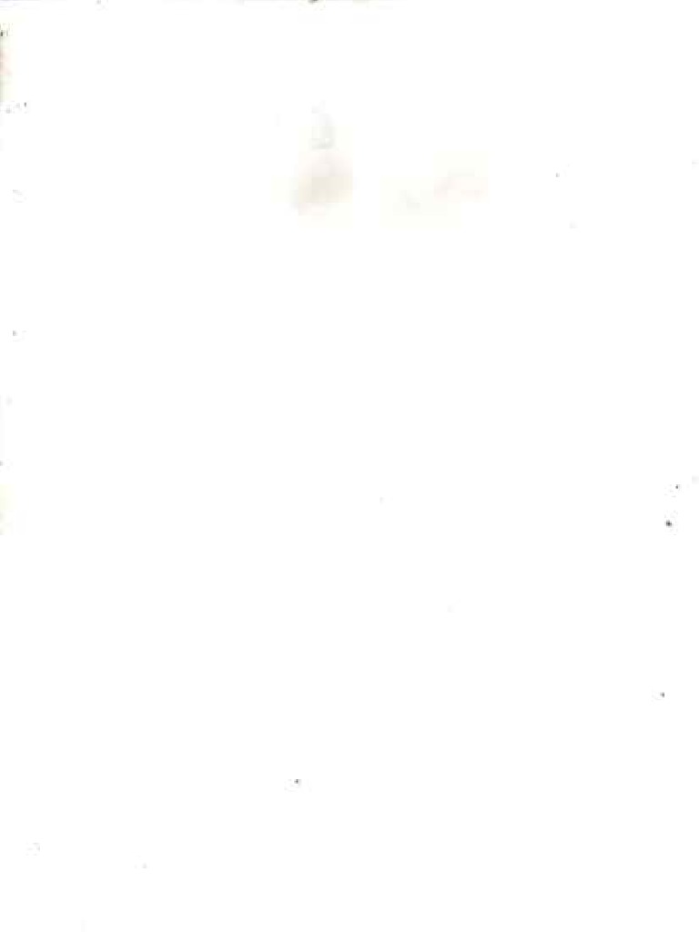 vvvv-pdf