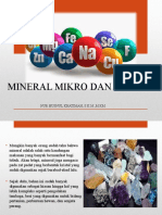 Mineral Mikro Dan Makro: Nur Husnul Khatimah, S.K.M.,M.KM