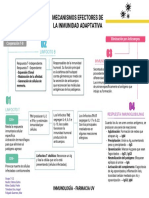 Mecanismos Efectores de La Inmunidad Adaptativa: Linfocito B