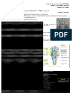 Anatomía Clínica Del V y VII Par Craneal
