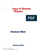 Histology of Human Organs