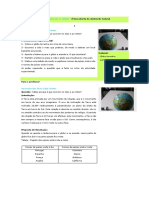 Actividades Do 1º CICLO - Ciências Experimentais