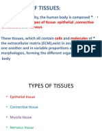 Types of Tissues #2