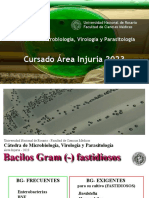 2 Bacilos Gram Negativos Fastidiosos