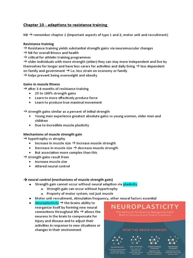 Chapter 10 Sports Phys PDF Muscle Hypertrophy Skeletal Muscle