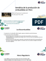 M.Espinoza - Problemática de La Producción de Biocombustibles en Perú