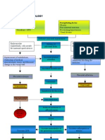 Iv - Pathophysiology: Predisposing Factors: Precipitating Factor