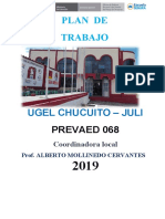 PLAN ANUAL DE TRABAJO CHUCUITO 2019docx