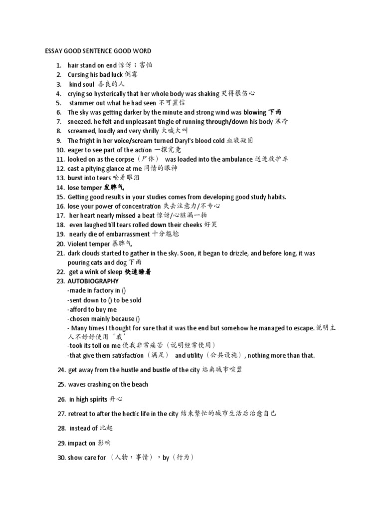 Essay Good Sentence PDF