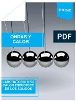 Lab 02 ONDAS Y CALOR