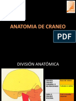 Anatomia de Craneo