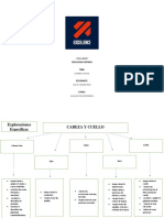 Examen Clinico