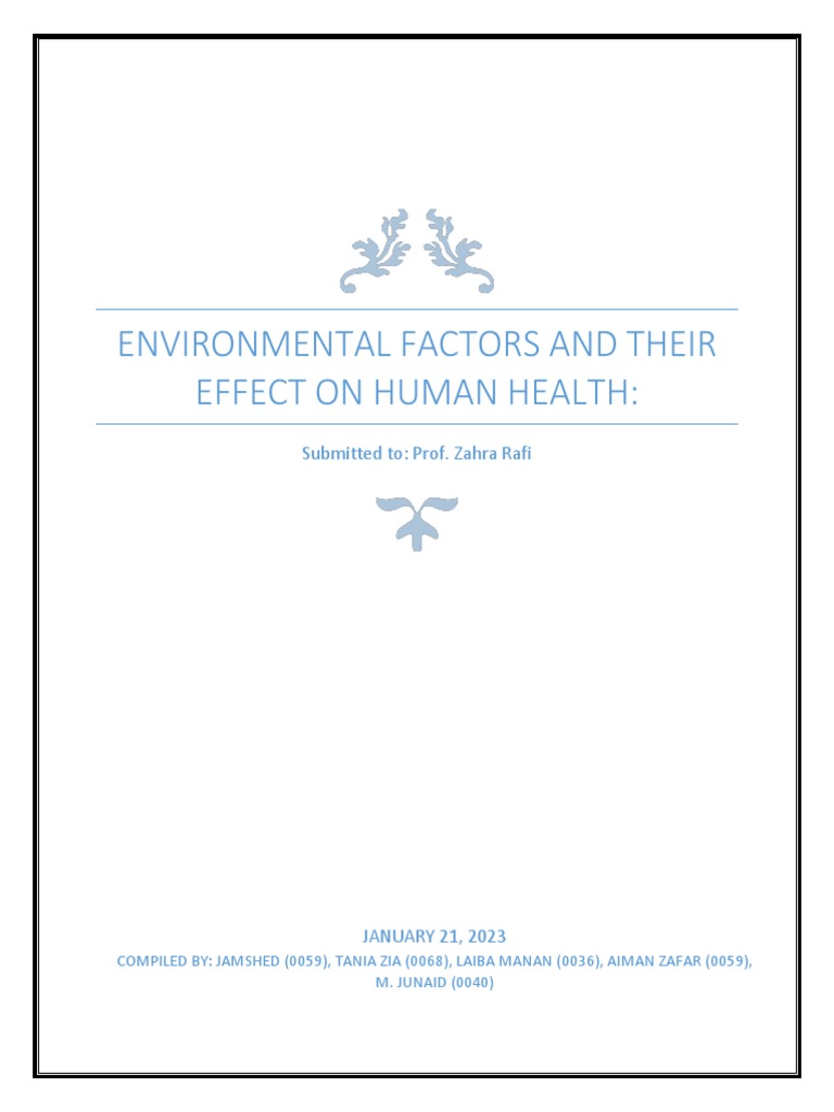 Environmental Factors and Their Effect On Human Health | PDF | Decibel ...