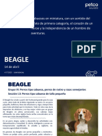 Mastefile Beagle