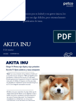 Master File Akita Inu 2023