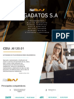 Netlife - Ger. Servicios - Tarea