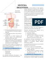 Sistema Digestivo