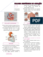 Anatomia e fisiologia do coração