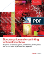 Bioconjugation and Crosslinking Technical Handbook