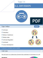 Cell Division