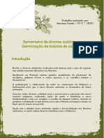 Introdução: Sementeira de Árvores Autóctones Germinação de Bolotas de Carvalho