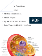 Topic: Cellular Adaptations - Subject: Pathology - Module: Foundation II. - Mbbs 3 Year - by DR Rizwana Yasmin - Date /time: 28-12-2022 / 10-45 Am