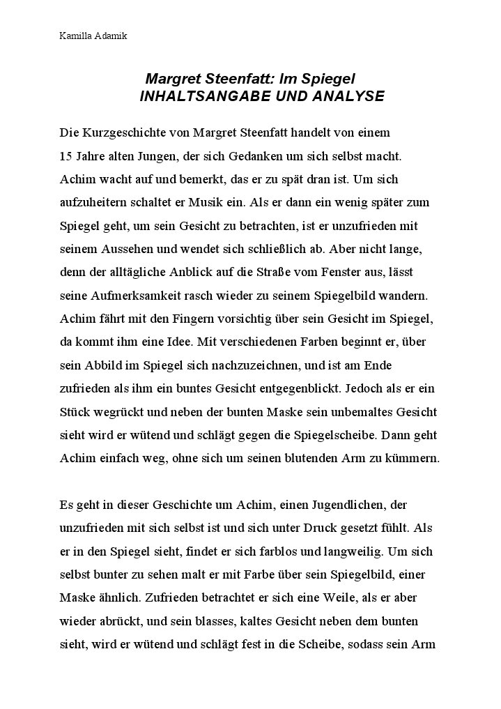 Analyse Im Spiegel Margret Steenfatt