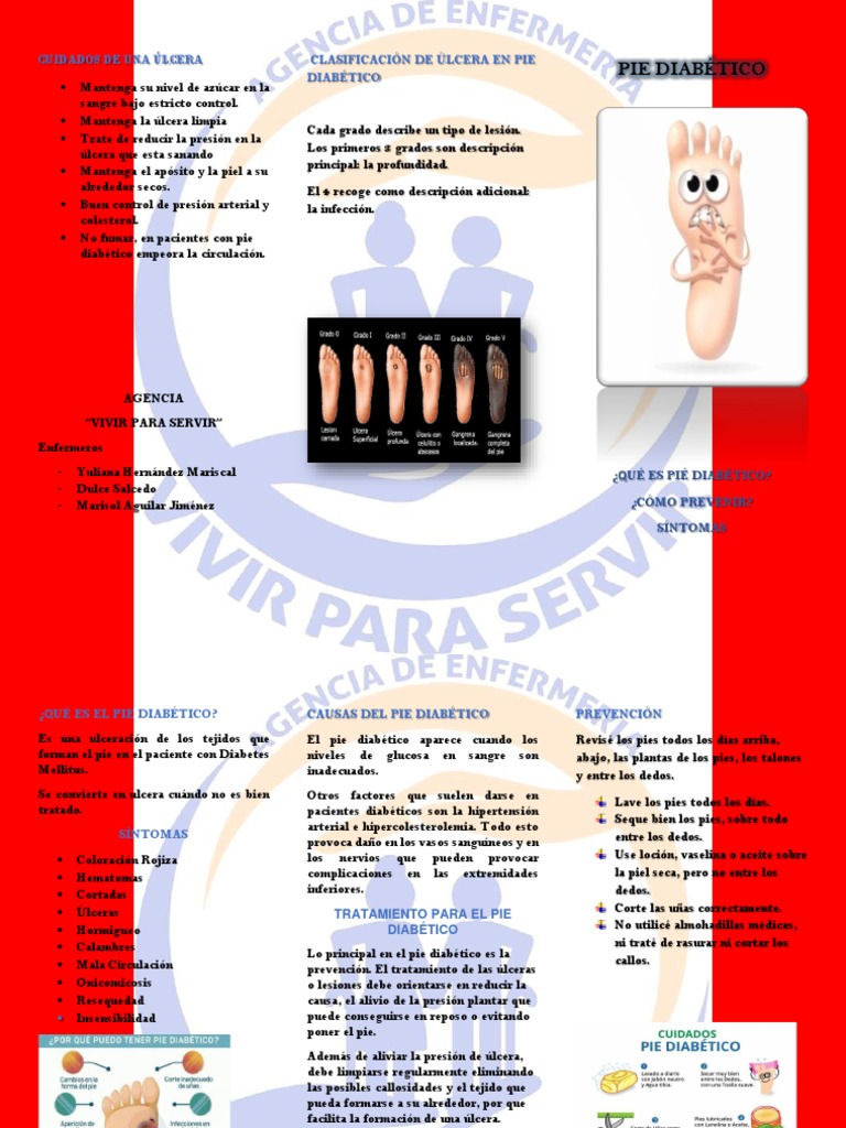 Tríptico Pie Diabético PDF Diabetes Ciencias de la Salud