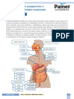 Biología - Repaso 4 - Sistema Digestivo y Circulatorio Humano