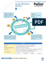 Biologia - Repaso 2 - Ciclo Celular, Mitosis y Meiosis