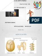 Anatomia Humana Articulaciones - Musculos: Arequipa - Peru