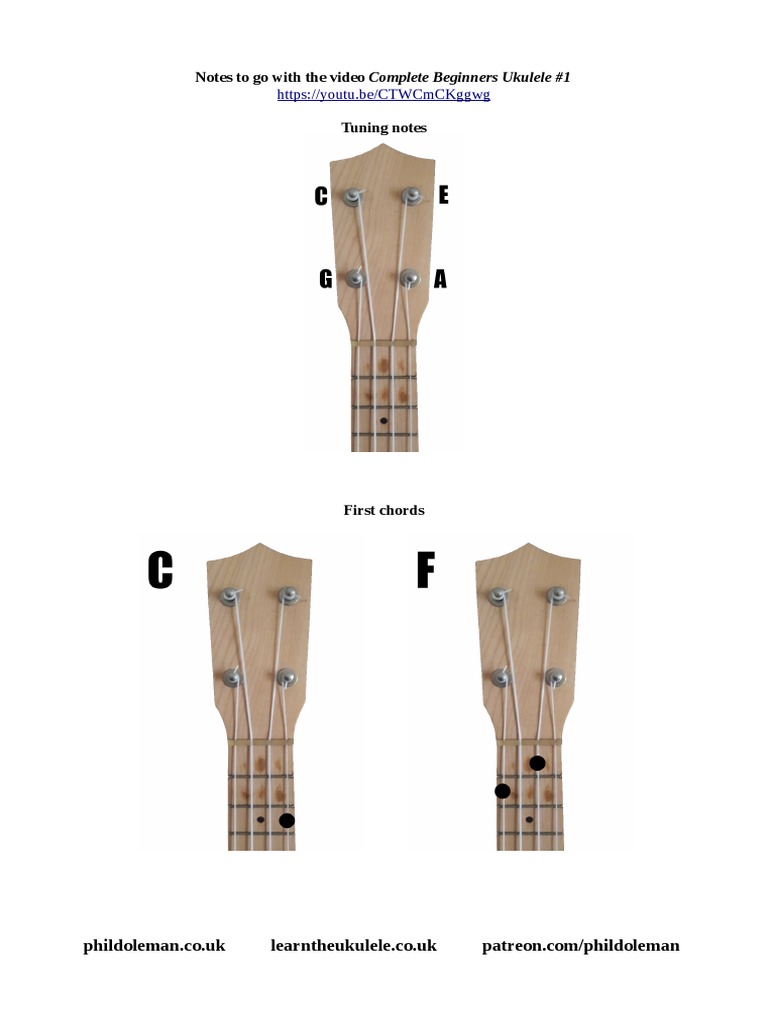 Complete Beginners Ukulele Lesson 1 Notes PDF