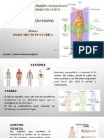 2.topografia Del Cuerpo Humano