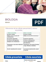 Biologia Reinos