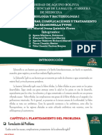 Causas, Complicaciones y Tratamiento de La Salmonella Typhi