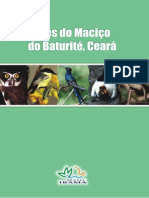 aves_maciço_baturite